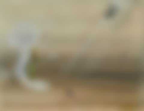 Untitled (preview)