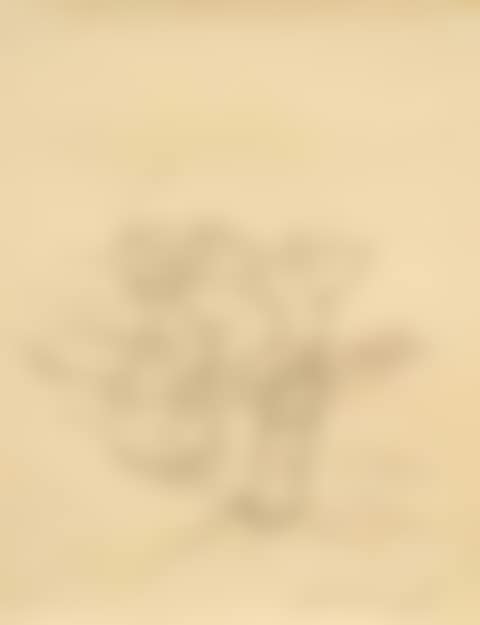 Verres (preview)
