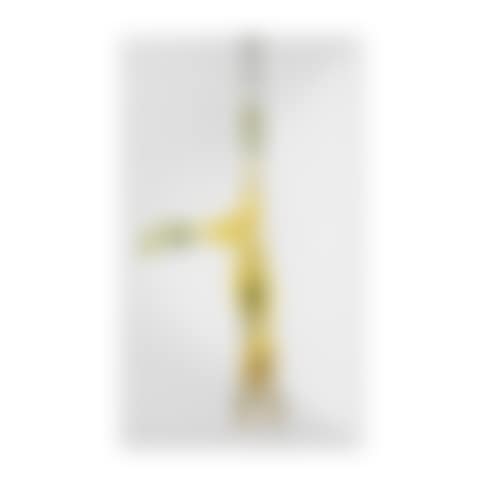 Coniglio appeso (preview)