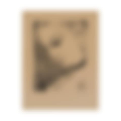 Anne de profil (preview)