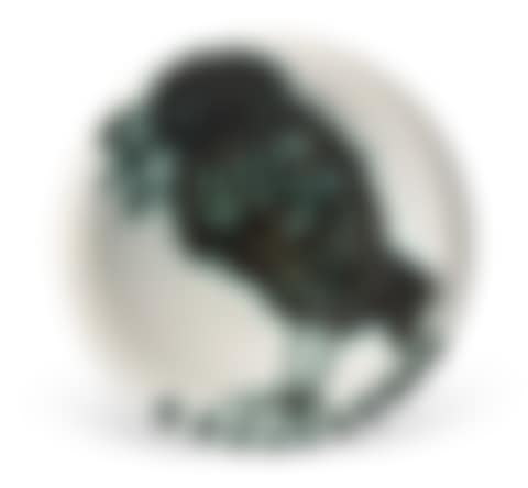 Oiseau au ver (A.R. 172) (preview)