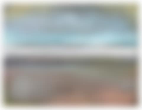 Untitled (Bahia Series) (preview)