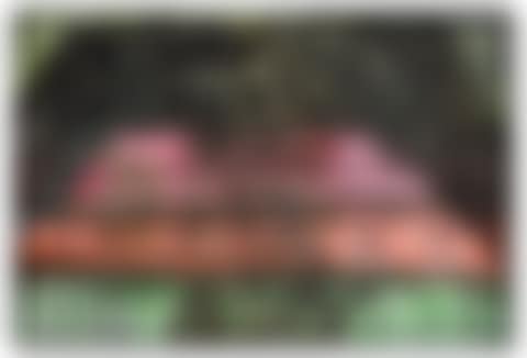 SP44 (preview)