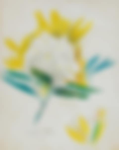 Cactus Flower (preview)