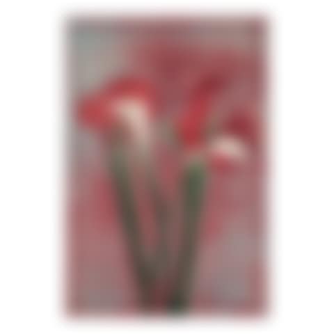 Amaryllis/Calla II (preview)