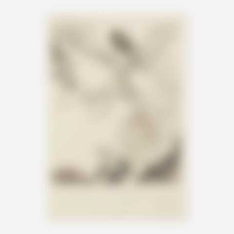 Icarus (from the Mythologie portfolio) (preview)