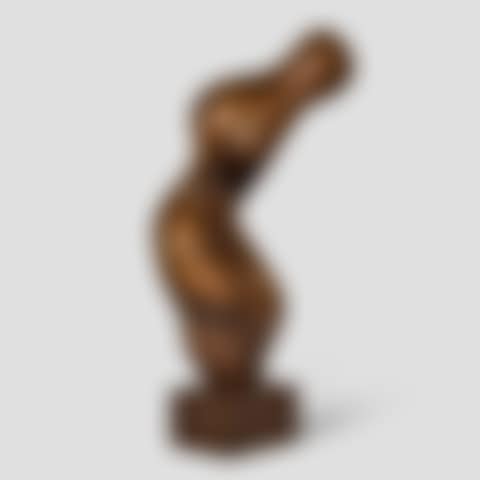 Torse-gerbe (preview)