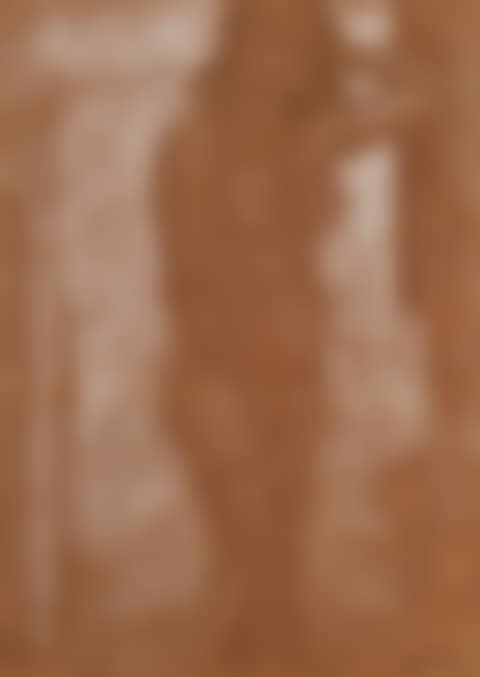 Desnudo (preview)