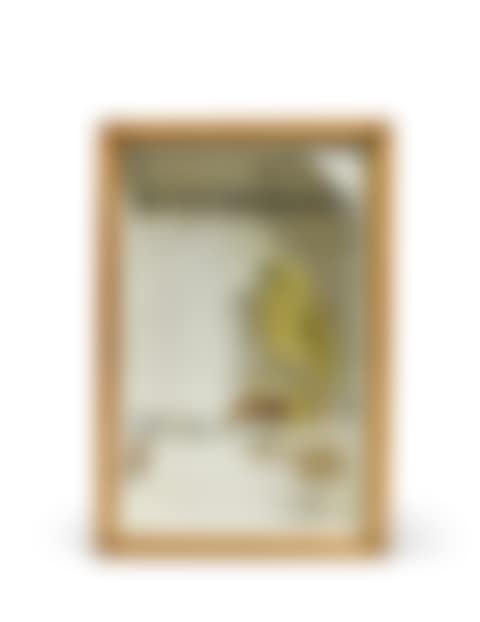 Untitled (Green Parrot Hotel Voyager) (preview)