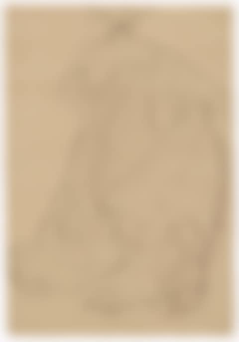 Sitzend von vorne mit ausgestrecktem linkem Arm, das Kinn aufgestützt (Studie für das Porträt I der Adele Bloch-Bauer) (Study for Portrait I of Adele Bloch-Bauer) (preview)