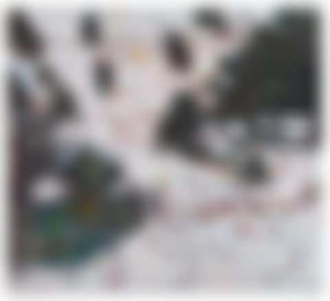 Ski Jacket (preview)