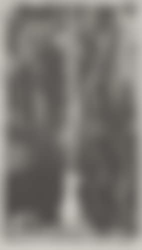 Recent Still Life (preview)