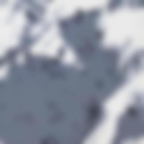 Schweizer Alpen II (preview)