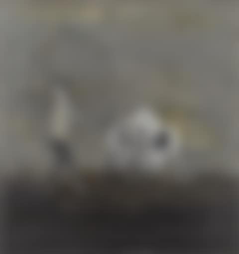 Sleepwalker (preview)