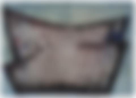 "N°5-1959" (preview)