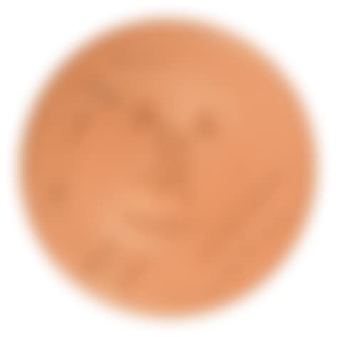 Full-face face (preview)