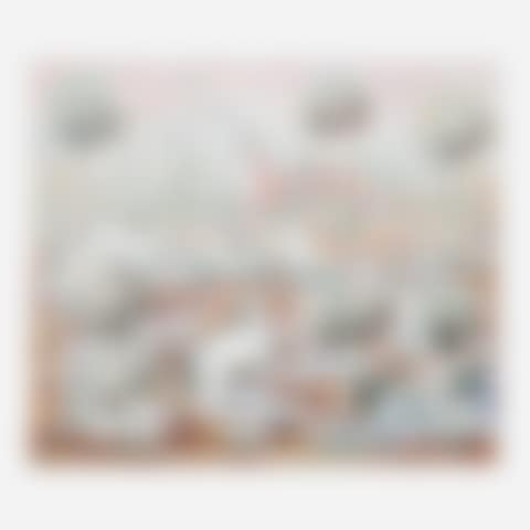 Schleicher (preview)