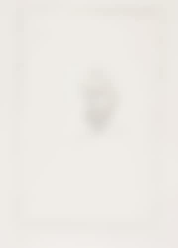 Dans le miroir (preview)