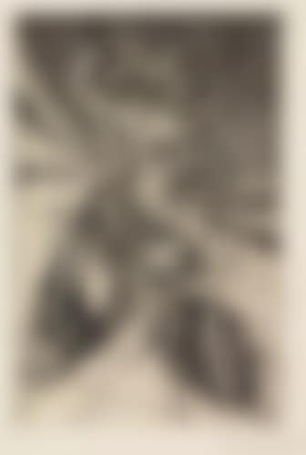 Group of 4 engravings with soft ground etching (preview)