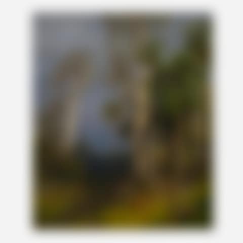 White Palms (preview)