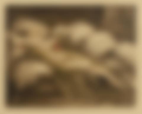 “Woman lying in cigarette holder” (preview)