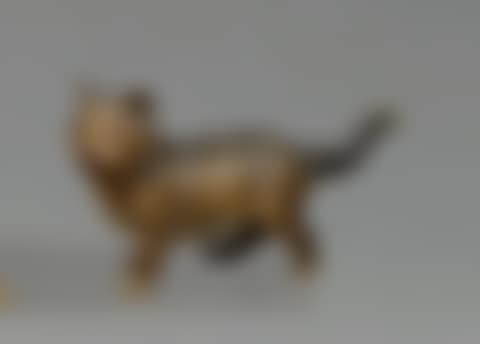 "Cat on the move" (preview)