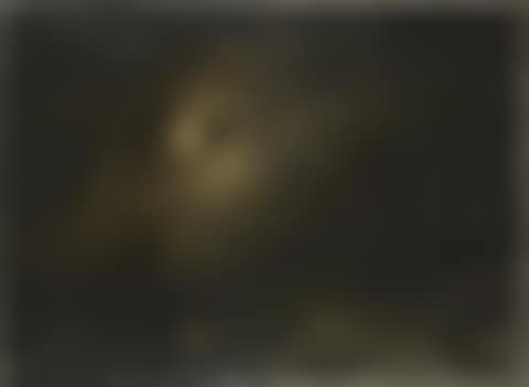 Nocturnal Marine (preview)