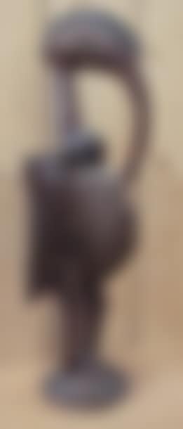 BIRD (preview)
