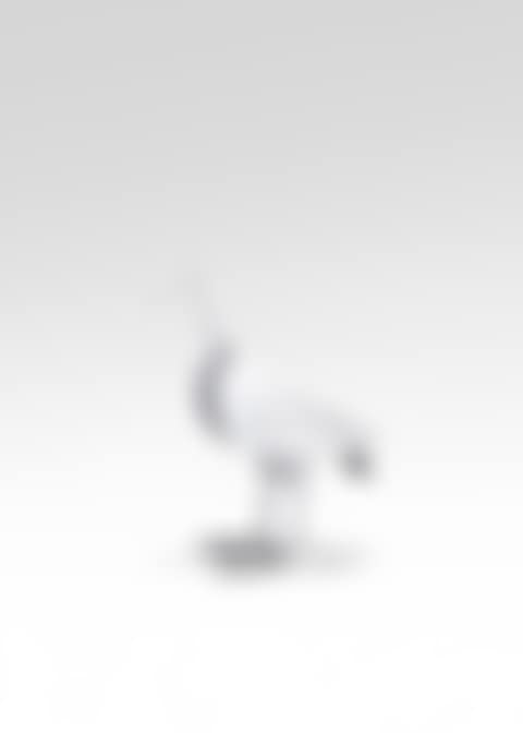 Oiseau d"argent chair, prototype (preview)