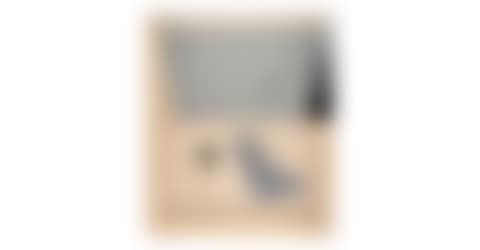 Hinged Canvas, from Fragment-According to What Series (Field 139, Gemini 288) (preview)