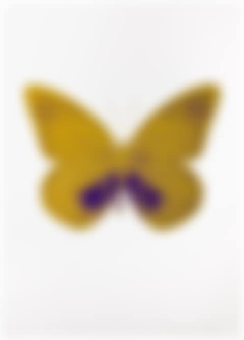 The Souls I (Oriental Gold/Imperial Purple) (preview)