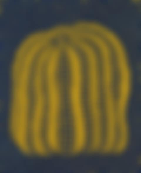 A Pumpkin (BT) (preview)