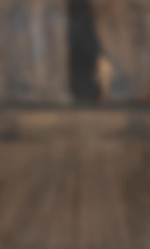 La surprise (preview)