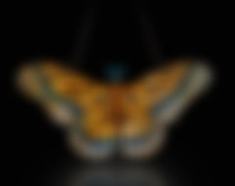 "MOTH" LAMP SCREEN (preview)