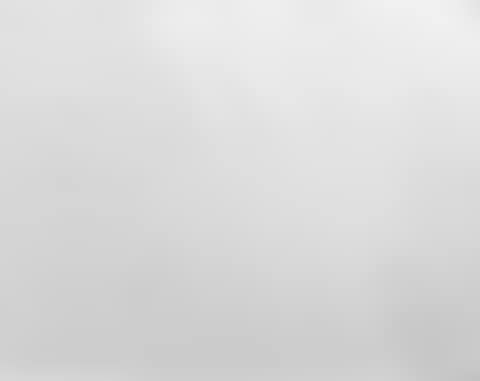 Barking Dog (from the White Icons series) (preview)