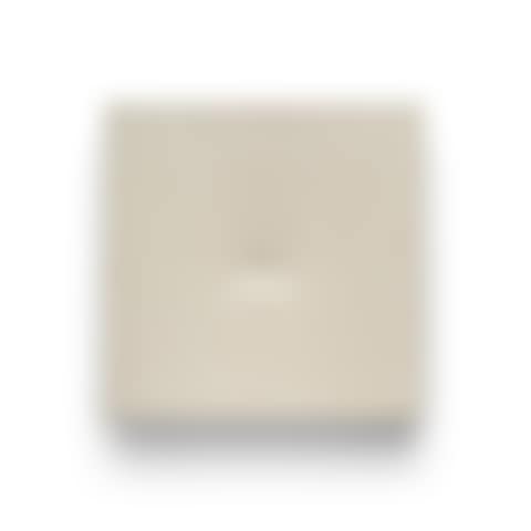 Un ovale bianco (preview)