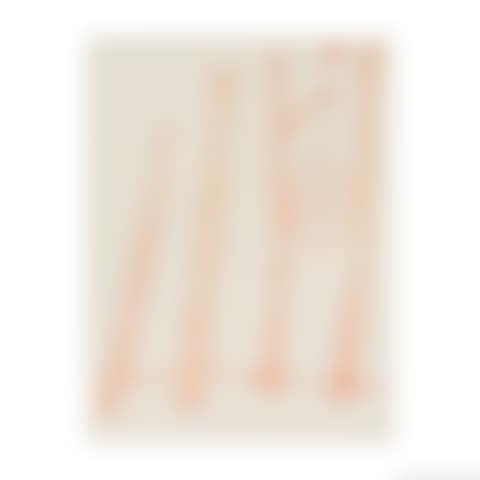 Spider web (preview)