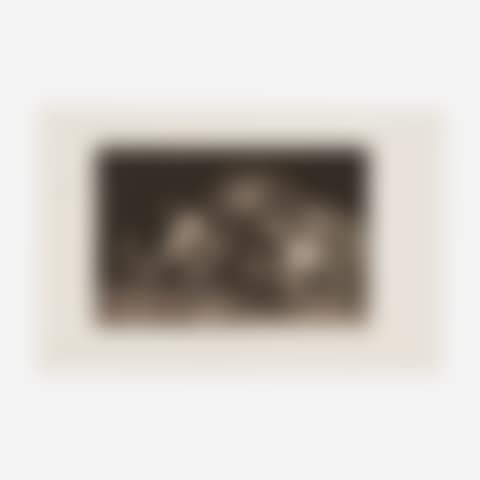 Disparate general (Plate 9 from Los Proverbios) (preview)