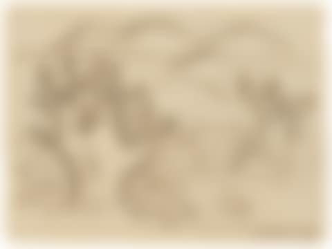 Landscape with Cactus (preview)