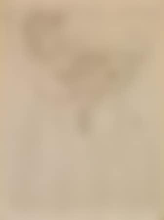 Looking into the Hand Mirror (preview)