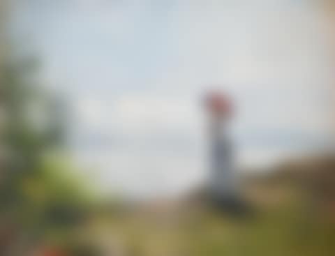 The lady by the beach (preview)