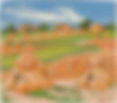 Mittag über den Feldern/Ückeritz (Noon above the fields/Ückeritz) (preview)