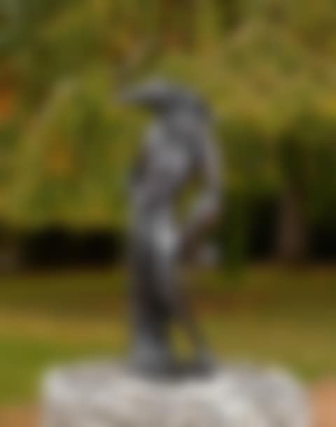 L"homme oiseau (preview)