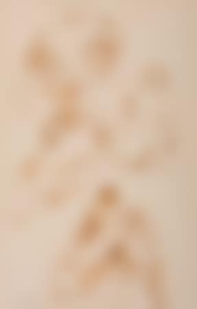 Studies of Female Nudes (preview)