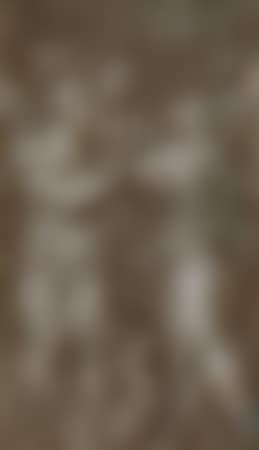 Study of Roman Soldiers (preview)