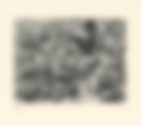 Landscape (preview)