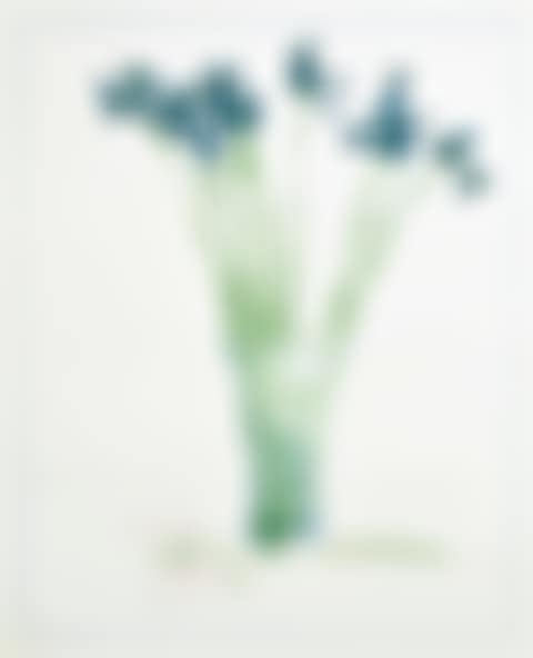 Still Life with Book (preview)