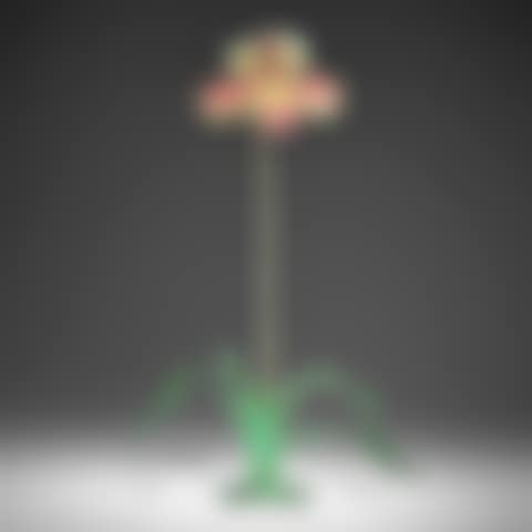 Orchid (preview)