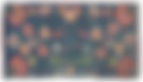 A flat weave carrige cushion (preview)