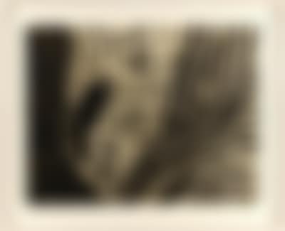 O.t. (preview)
